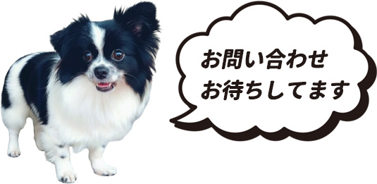 お問い合わせお待ちしています